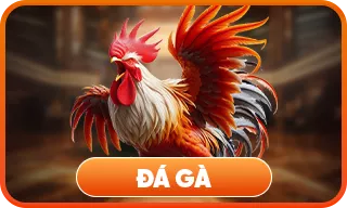 đá gà trực tuyến tỷ lệ thắng cao trên sunwin
